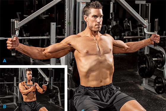 6-different-chest-routines-from-the-bodybuildingcom-forums_graphics-bo-flecks-ped-deck.jpg